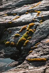 Beautiful stone patterns in Norway on a coast