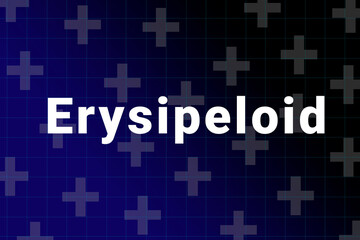 Erysipeloid disease Illustration. Erysipeloid title on medical background. Dark blue gradient behind the Erysipeloid logo. Medical crosses symbolize human health