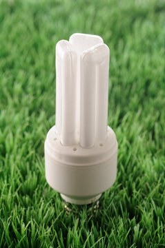 Energy Efficient Lightbulb on Grass