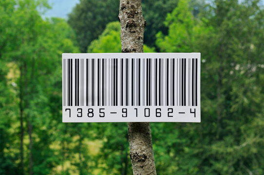 Barcode on Tree