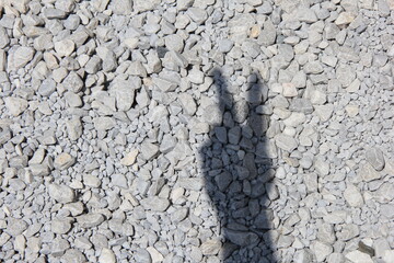 砂利が覆う地面に映る、手の影(ジャンケンのチョキ、ピースサイン、Vサイン)