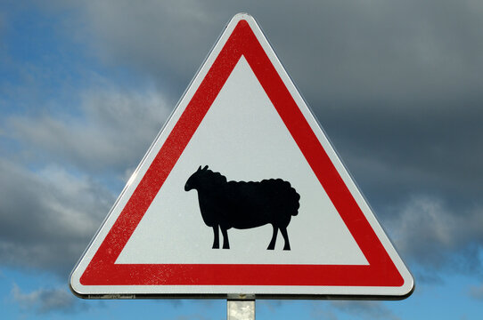 Sheep Crossing Sign, Montarnaud, Herault, Languedoc-Roussillon, France