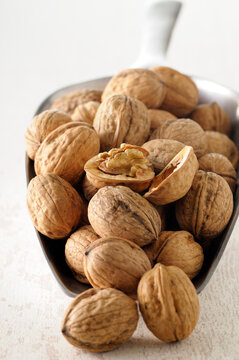 Close-up of Scoop full of Walnuts with one Cracked Open