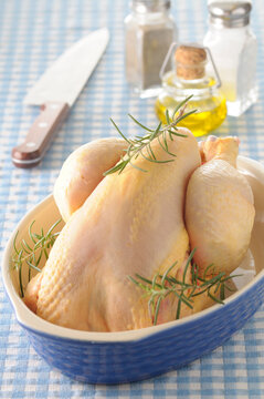 Uncooked Whole Chicken with Rosemary in Roasting Pan on Blue Gingham Background, Studio Shot
