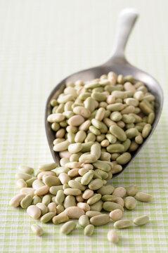 Scoop of beans, studio shot