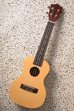 Overhead View of Ukulele, Studio Shot