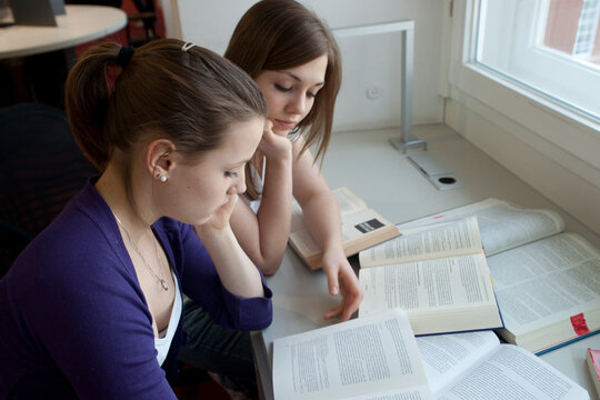 Two Girls Studying