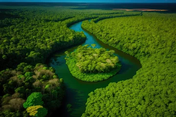 Foto op Aluminium Aerial View of the Amazon Rainforest. South American country of Peru's tropical green jungle. aerial perspective. Generative AI © 2rogan