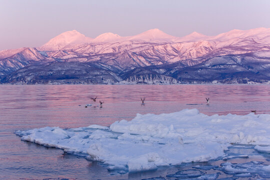 Ice Floe and Sun Rising, Nemuro Channel, Shiretoko Peninsula, Hokkaido, Japan
