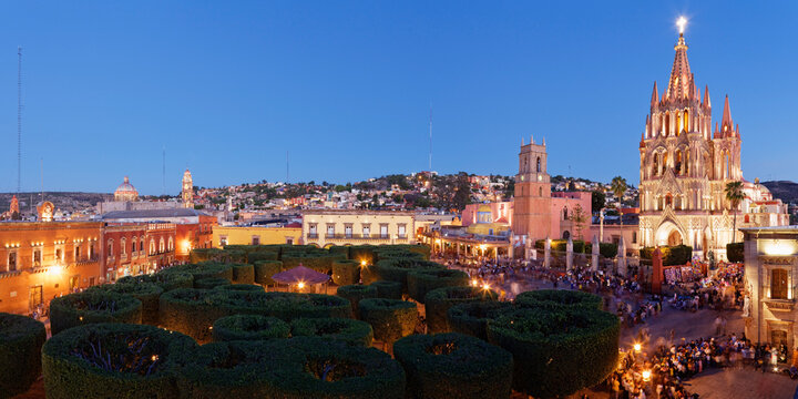 Overview of Pruned Shrubbery, The Zocalo, San Miguel de Allende, Guanjuato, Mexico