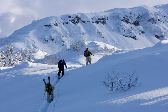 Backcountry Skiers Ascending Hill, Furano, Hokkaido, Japan
