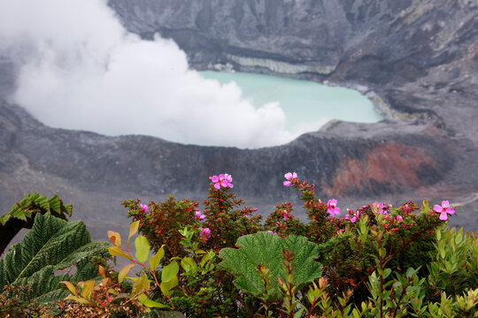 Poas Volcano, Costa Rica, Central America