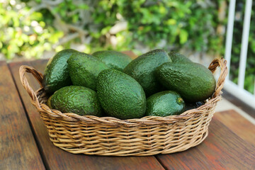 Wicker basket with fresh ripe avocados on wooden table outdoors