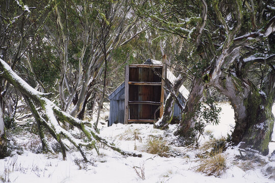 Hut and Snow Gum Trees in Winter, Mount Hotham, Victoria, Australia