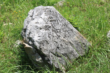 秋吉台の特徴的な岩(山口県)