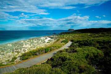 Fototapeta na wymiar Seal Bay Conservation Park - Kangaroo Island