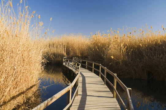 Azraq Wetland Reserve, Azraq, Jordan