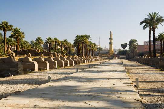 Avenue of Sphinxes, Luxor Temple, Luxor, Egypt