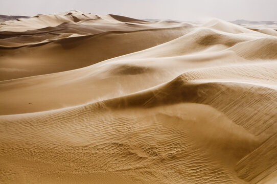 Sand Dunes, Libyan Desert, Egypt