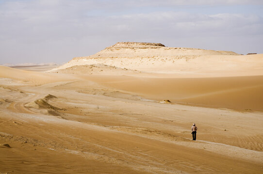 Hiker in Desert, Bir Wahed, Libyan Desert, Egypt
