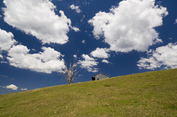 Farmland, Butchers Ridge, Victoria, Australia