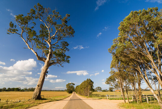Rural Road, Glenaladale, Victoria, Australia