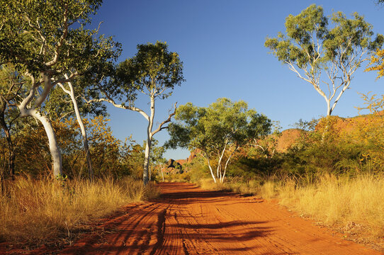 Road in Purnululu National Park, Kimberley, Western Australia, Australia