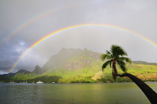 Rainbow over Cook's Bay, Moorea, French Polynesia