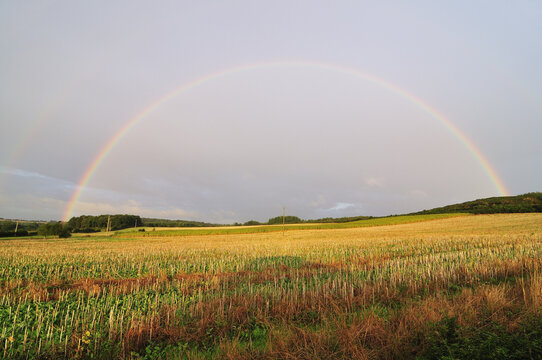 Rainbow Near Concoret, Paimpont Forest, Paimpont, Ille-et-Vilaine, Brittany, France