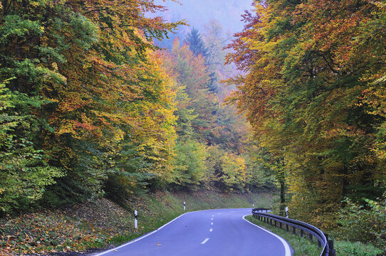Road through Forest, Danube Valley, Baden-Wurttemberg, Germany