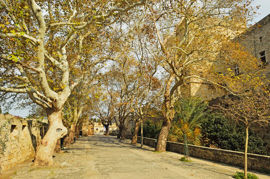 City walls of Old Town, Rhodes City, Rhodes, Dodecanese, Aegean See, Greece, Europe