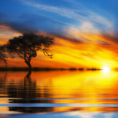 Sunset over the Lake, AI Digital Illustration Art