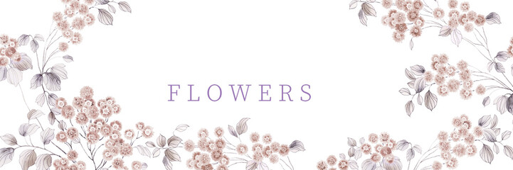 flowers illustration