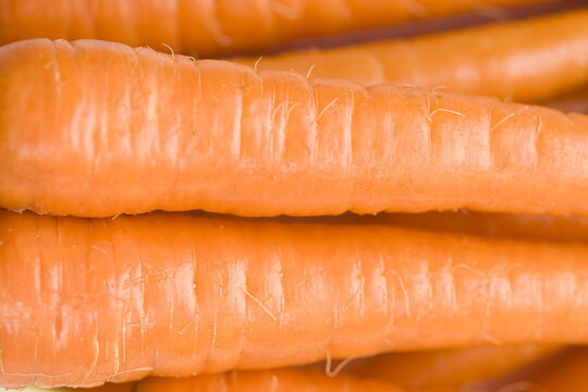 Closeup of Carrots