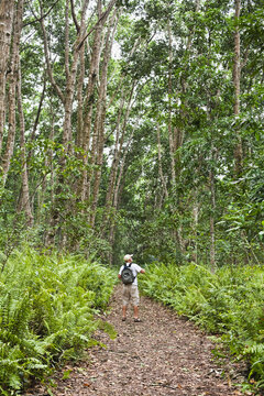 Tourist, , Jozani Chwaka Bay National Park, Unguja, Zanzibar, Tanzania