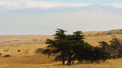 Channel Islands National Park, Santa Cruz Island California, USA