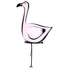 Flamingo