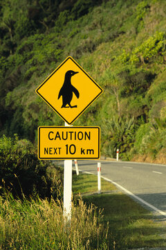 Penguin Crossing Sign, Paparoa National Park, South Island, New Zealand