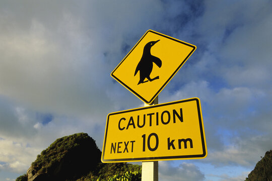 Penguin Crossing Sign, Paparoa National Park, South Island, New Zealand