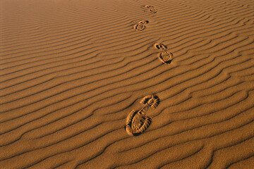 Footprints in Desert, South Australia, Australia