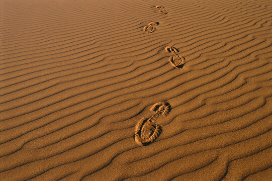 Footprints in Desert, South Australia, Australia