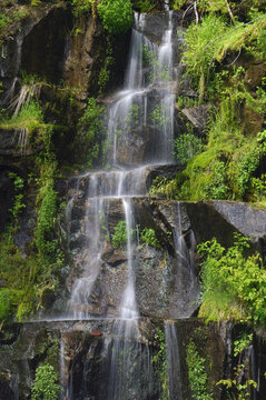 Waterfall in Mount Rainier National Park, Washington, USA
