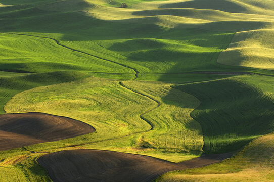 View From Steptoe Butte State Park, Palouse, Washington, USA