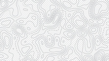 Trendy transparent contour lines background and texture. Topographic gray linear background for design, abstraction with place for text.