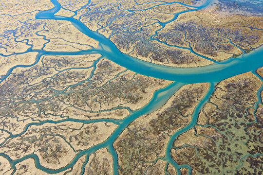 Marismas del Odiel Biosphere Reserve, Huelva Province, Andalusia, Spain
