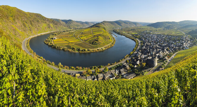 Moselle River, Mosel Valley and Bremm, Cochem-Zell, Rhineland-Palatinate, Germany