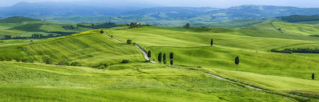 Track passing through green fields with cypress trees. Pienza, Siena Province, Val d&acute;Orcia, Tuscany, Italy.