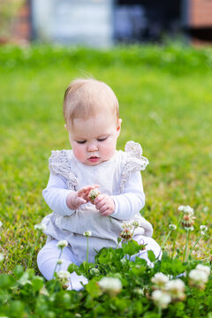 happy baby sitting outside on grass in backyard picking clover flowers