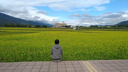 Fototapeta na wymiar A man watching flower field in Hualien, Taiwan