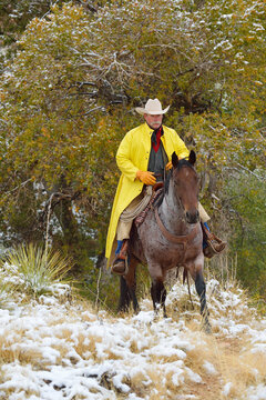 Cowboy Riding Horse in Snow, Rocky Mountains, Wyoming, USA